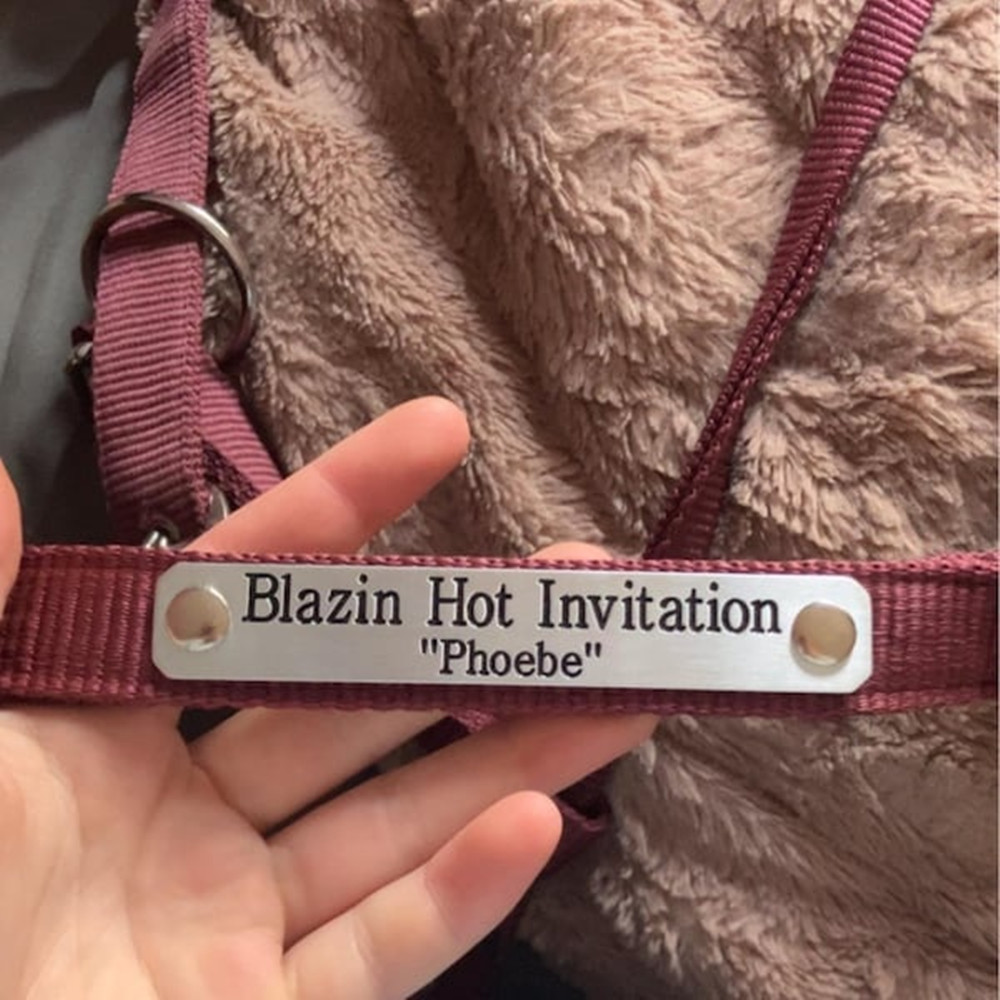 Custom Engraved Stainless Stee - Embroidery Alphabet ulasan dan harga
